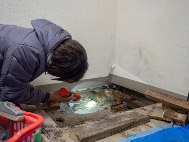 Best Crawl Space Mold Remediation  in Simpsonville, SC