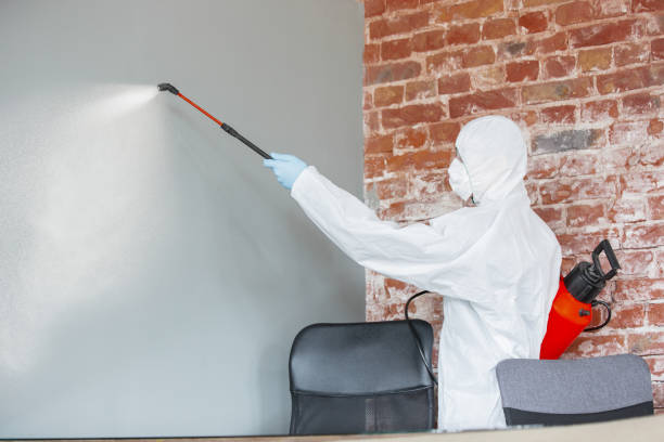 Mold Remediation for Vacation Homes in Simpsonville, SC