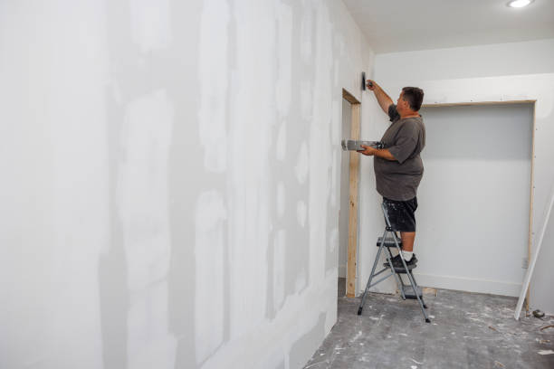Biohazard Mold Removal in Simpsonville, SC